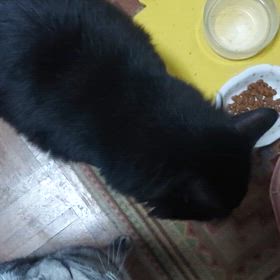 ぜいたく言わさない(((^_^;)の画像