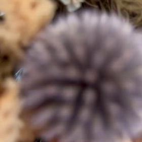 施術中にこういうコト気になる？の画像