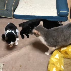 麗奈の近況の画像