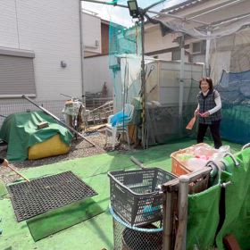 ばぁばと羽子板の画像