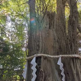 動画の張り付けの画像