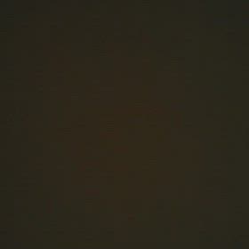 大知くん宛の音信です。。。♡“(. .*)の画像