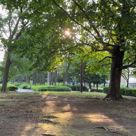 妖精みたいのが飛来の画像