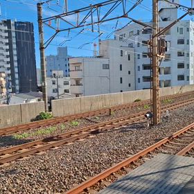 2024/08/20の画像