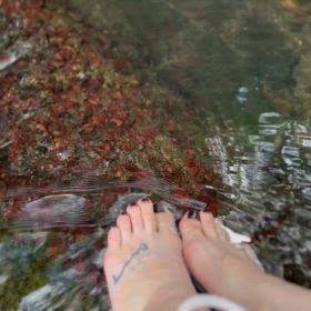 気分の揺らぎと向き合う✨の画像