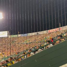 夫、甲子園への画像