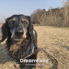 ＊＊実は流星ｸﾝと朱音ﾁｬﾝも…＊＊の画像