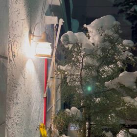 2024営業終了&saleのお知らせの画像