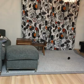 あれ〜 いつからファン ？の画像