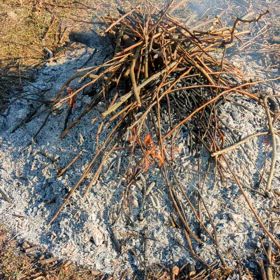 今日も燃やす  (音入れ75日目)の画像