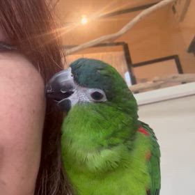 可愛い子ちゃんのご紹介です。の画像