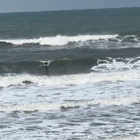 今朝の海から、、、の画像