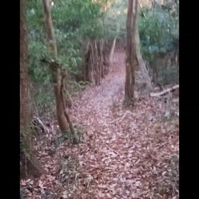 溶造皇神社の奥に進むと2つの祠が有りました。の画像
