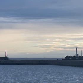 明日は午前マダイの画像