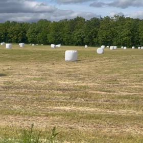 2025/05/12(月)  牧草ロールの季節【動画】圧巻見てね♡の画像