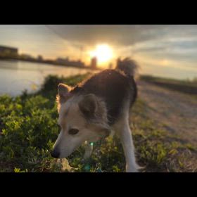 幻想的な風景♡♡♡の画像