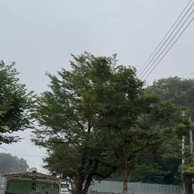 2025/08/15（金）　朝の画像