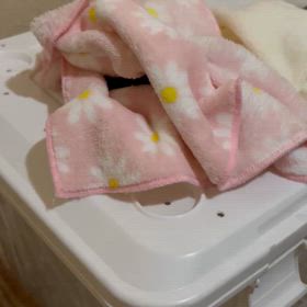 可愛い子ちゃん入荷致しました〜♡の画像