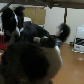 ストレスなのか？の画像