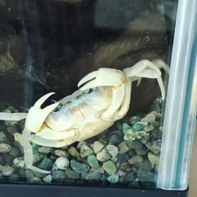 牧場実習の画像