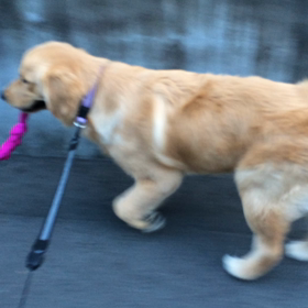 持ちたがるくせに、、の画像