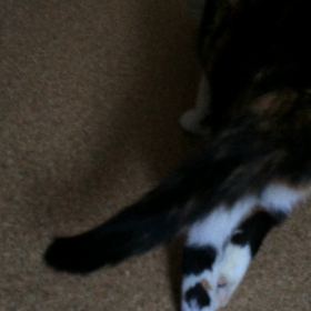 朝からリハビリの画像