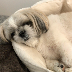 ワークライフバランスの画像