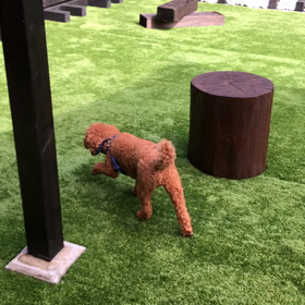 次々と悪いところが・・の画像