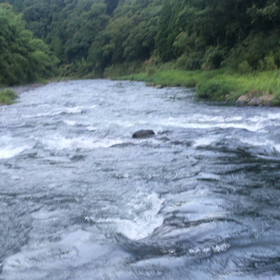 大分に行ってきたよの画像