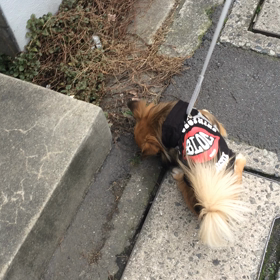 ぶちゅっとの画像