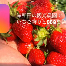岸和田でいちご狩りとBBQを楽しんで来た！！の画像