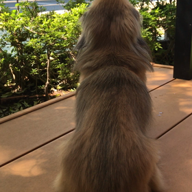 肝臓癌 余命宣告から3ヶ月過ぎ Mamiのブログ