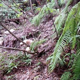 今日のお散歩！の画像