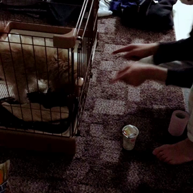 相思相愛。の画像