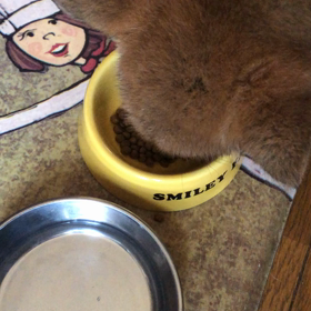 脱離乳食！の画像