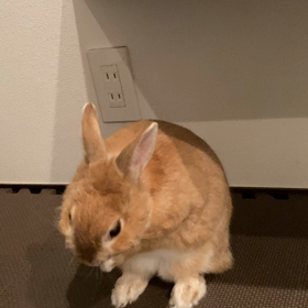 水曜日と木曜日の画像