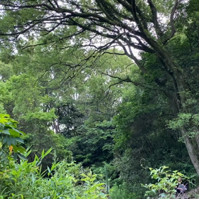 “自然と音遊び” プロジェクト vol.030！の画像