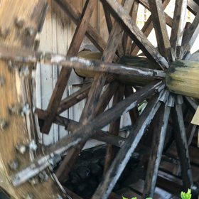 早く見たいとのコメントがありましてΣ(  °-°  )ﾜｵの画像