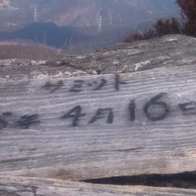 市の最高峰の画像