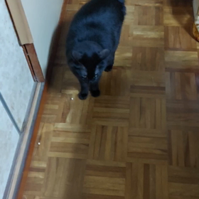 豆追いかけて楽しむ♪の画像