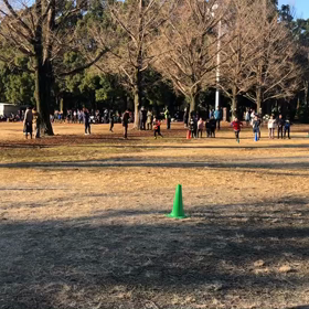 低学年リレー①の画像