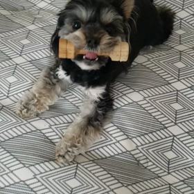 おもちゃの画像