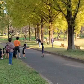 11/3　ミニ駅伝②の画像