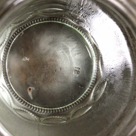 クリオネ飼育約160日目の画像