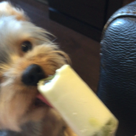 やっぱり夏はアイスだな。の画像