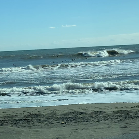 大好きな海の画像