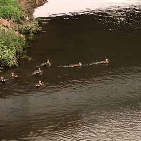 護られている気がするの画像