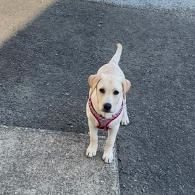 2022/05/18☀️の画像