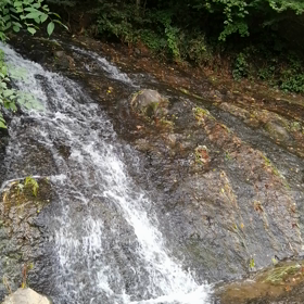 アナタが癒されますようにサーの画像