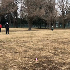 航空公園1000m３組目&1500m⑪の画像